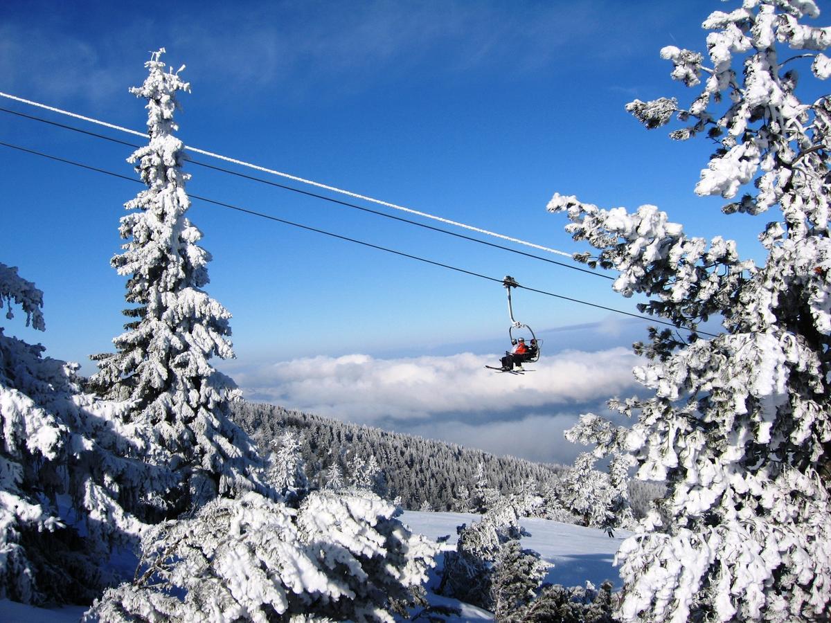 Bungalows Ski Pista Govedarci Exterior foto